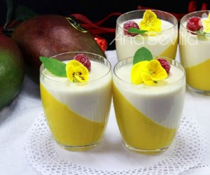 Panna-cotta de nata y mango