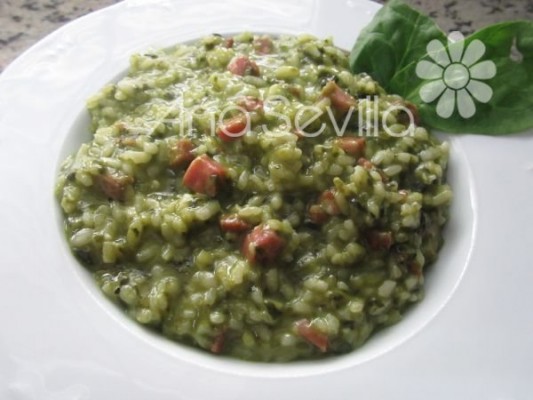 Risotto de espinacas Mambo