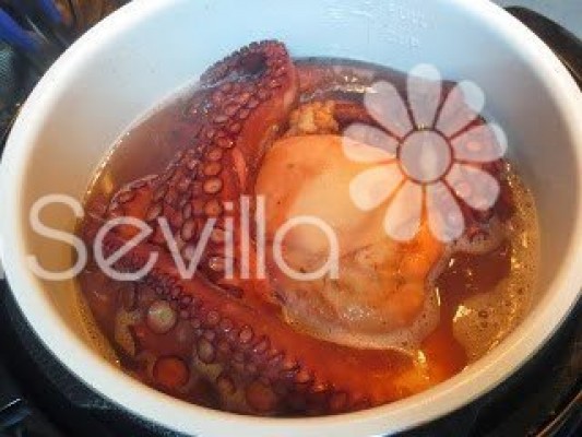 Pulpo cocido