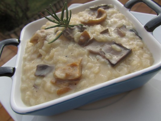 Risotto de setas secas