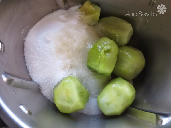 Mermelada de kiwi Thermomix