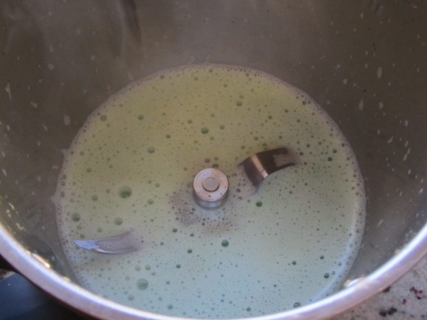 Helado de menta y chocolate con Thermomix