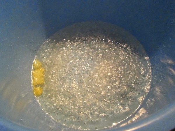Tocino de cielo olla GM