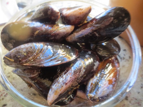 Mejillones en salsa olla GM