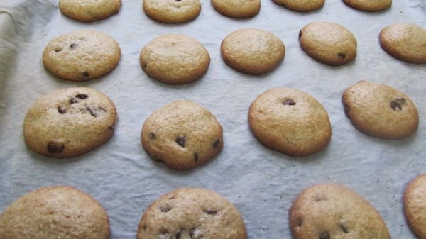 Cookies integrales sin huevo Thermomix