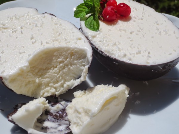 Helado de coco con Thermomix