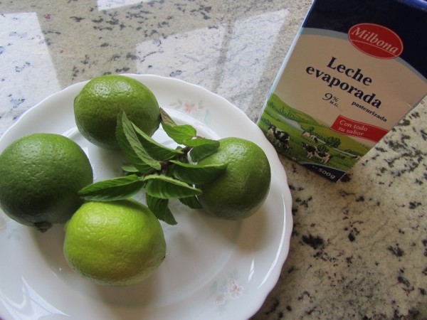 Helado de mojito con Thermomix