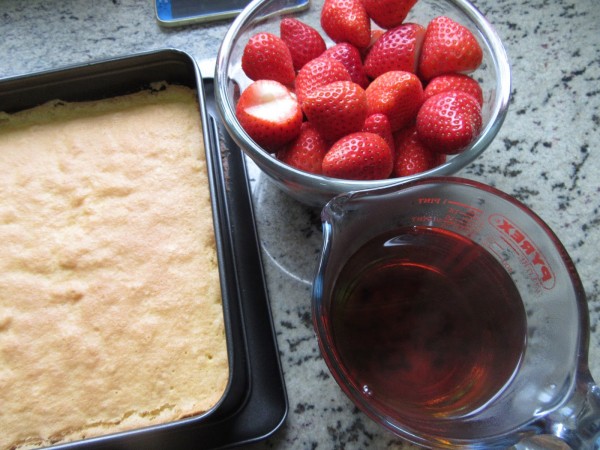 Borrachines de fresas con Thermomix.