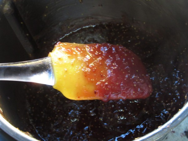 Mermelada de higos o brevas Thermomix