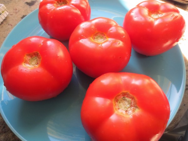 Tomates rellenos a la italiana olla GM