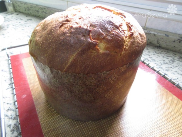 Panettone de aceite de oliva Thermomix