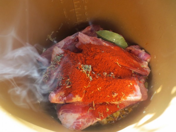 Costillas especiadas olla GM