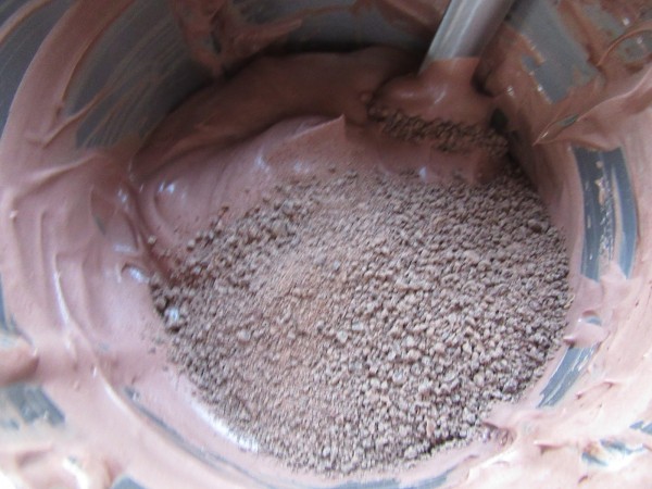 Helado de chocolate expres con Thermomix