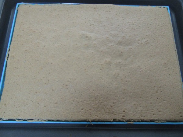 Tronco de coco Thermomix