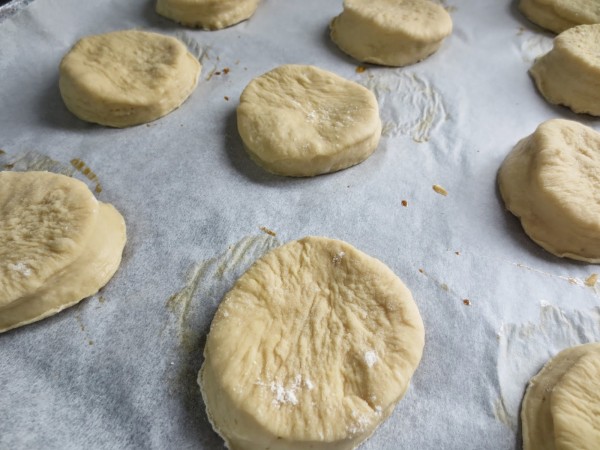 Bombas fritas o berlinesas Thermomix