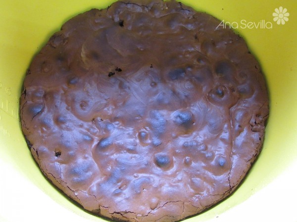 Galleta brownie olla GM