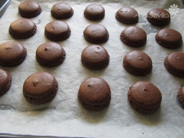 Macarons de chocolate Thermomix - Juani de Ana Sevilla | Recetas Thermomix  | Olla GM | Mambo