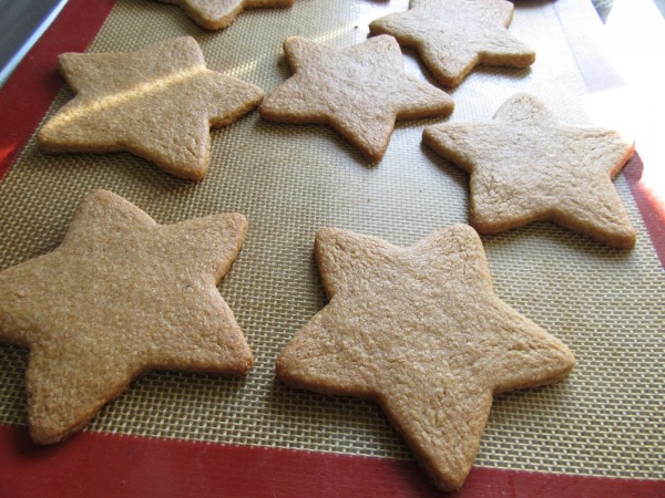 Galletas de jengibre y avena con Thermomix