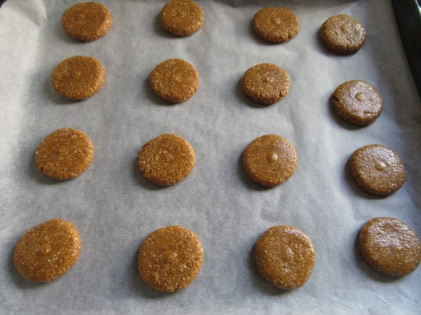 Galletas digestive Thermomix