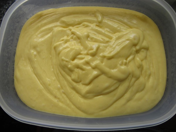 Helado de mango con Thermomix