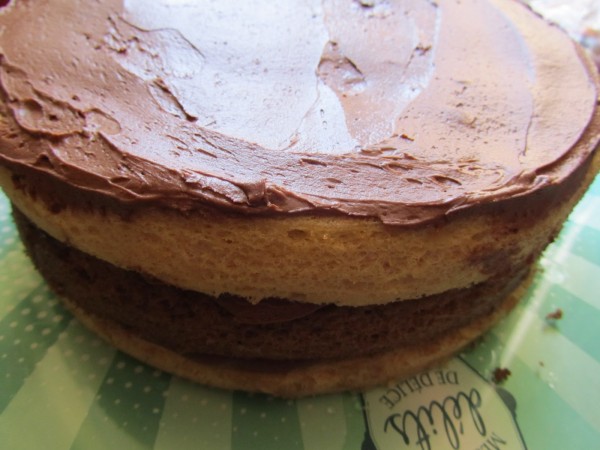 Tarta helada de trufa y conguitos con Thermomix