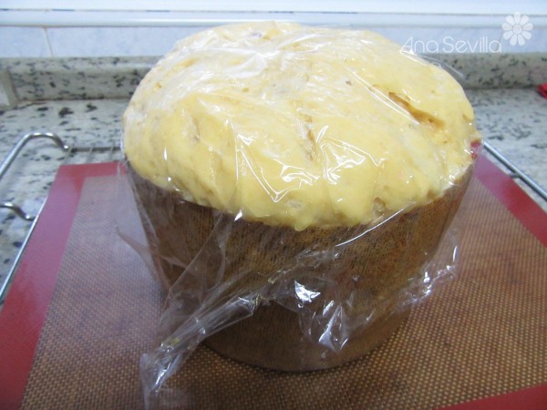 Panettone de aceite de oliva Thermomix