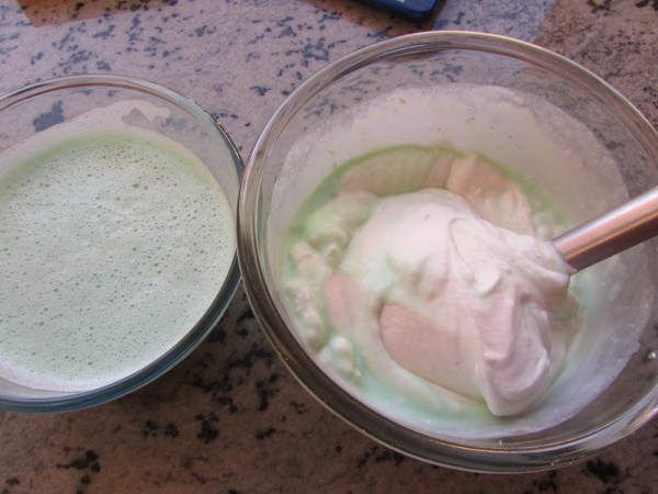 Helado de menta y chocolate con Thermomix