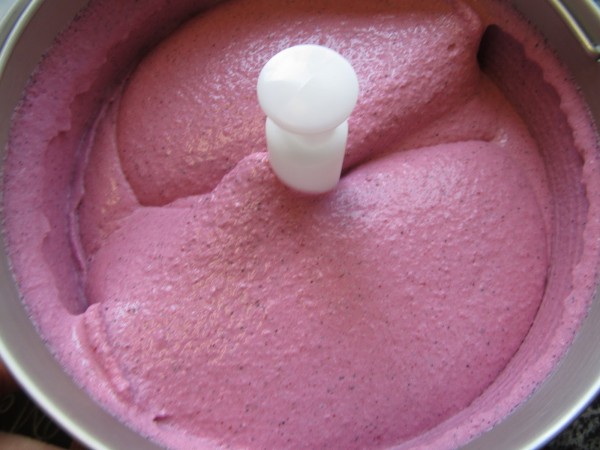 Helado de frutos rojos y yogur Thermomix