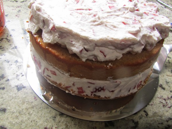 Tarta de nata, fresas y bizcocho Thermomix