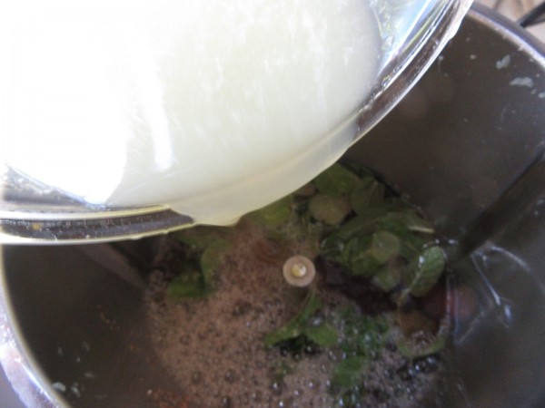 Mojito granizado con Thermomix