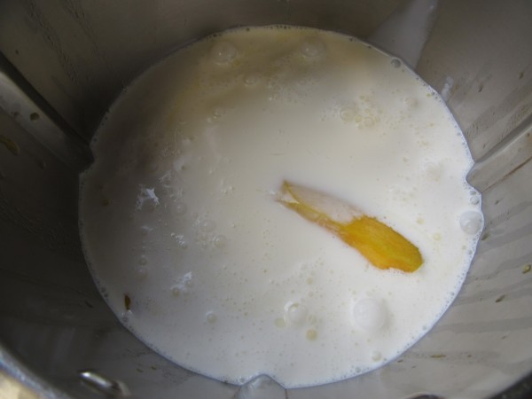 Helado de mango con Thermomix