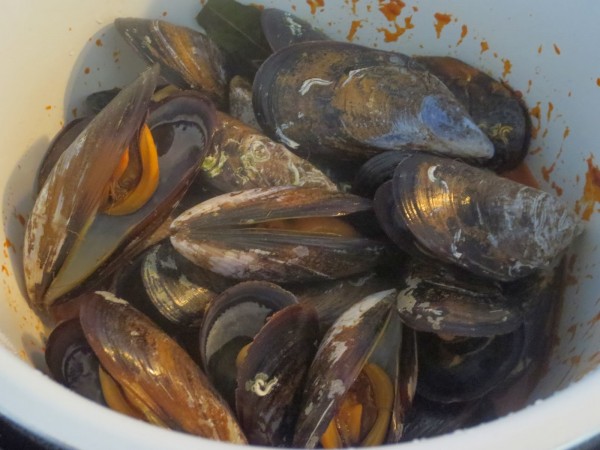 Mejillones en salsa olla GM