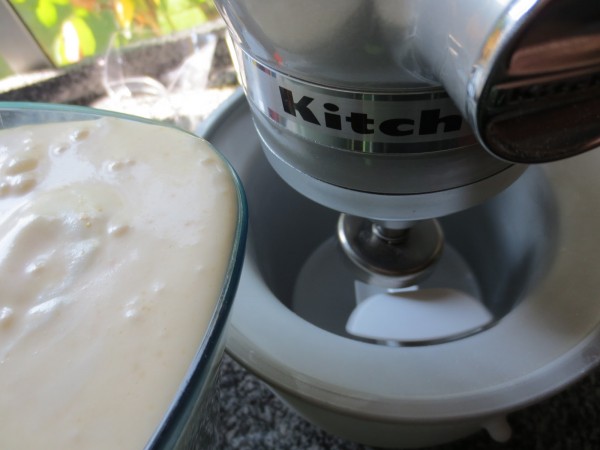 Helado de almendras con Thermomix