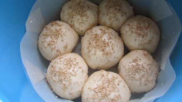 Pan de hamburguesas olla GM