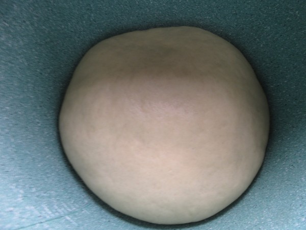 Carmelita XXL olla GM