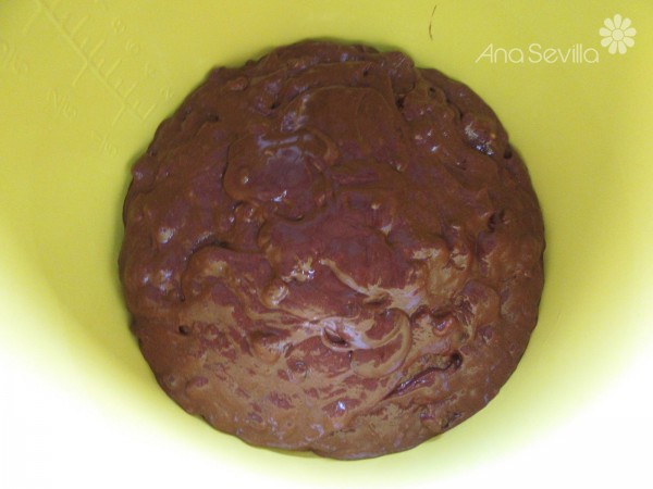 Galleta brownie olla GM