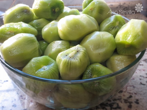 Mermelada de kiwi Thermomix