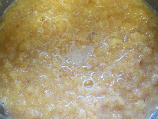 Mermelada de melocotón Thermomix