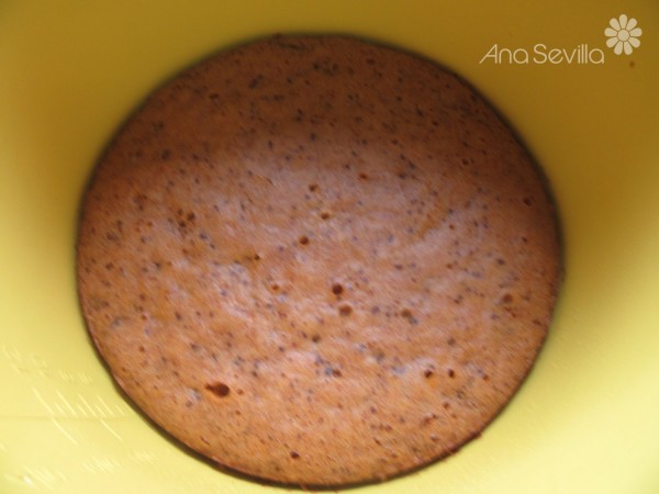 Trufas carrot cake Thermomix
