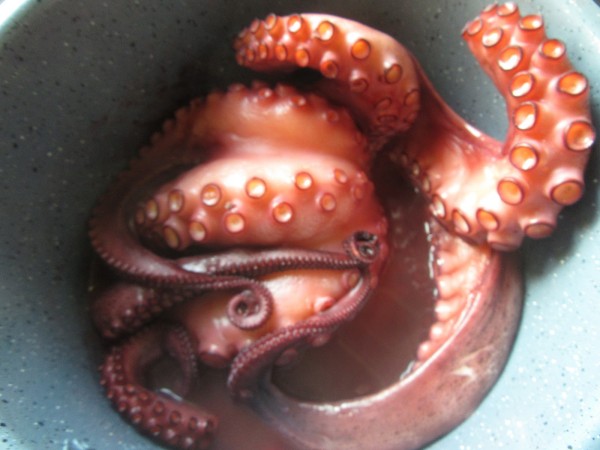 Pulpo cocido sin agua en su jugo olla GM Ana Sevilla