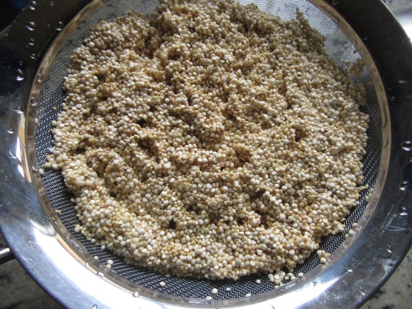 Quinoa con verduras Thermomix