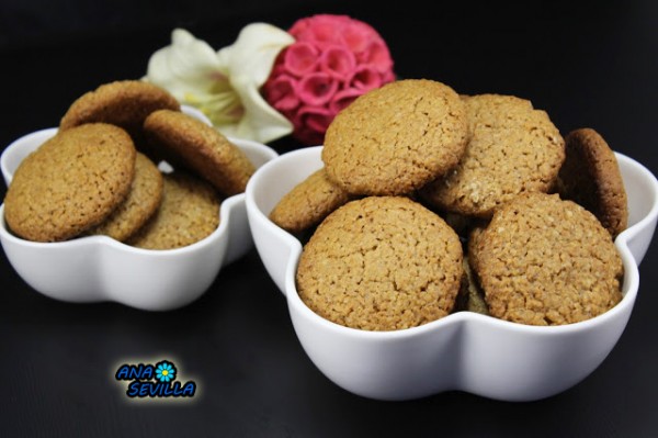 Galletas digestive (Mi receta) Ana Sevilla con Thermomix