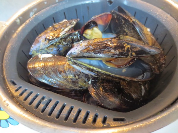 Mejillones en salsa Thermomix