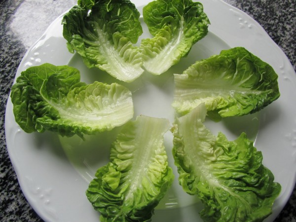 Barquitas de lechuga Thermomix