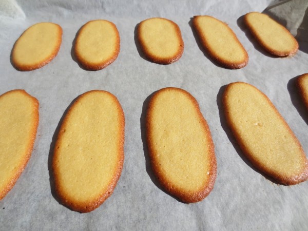 Lenguas de gato Thermomix