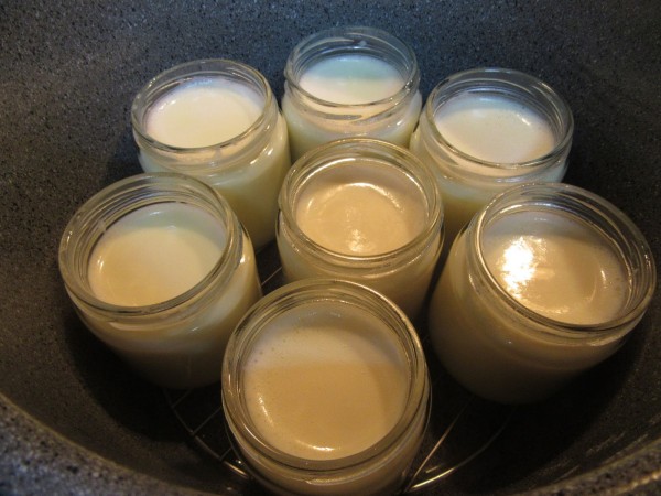 Yogures de limón (Thermomix, tradicional y olla GM).