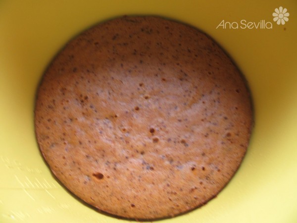 Trufas carrot cake Thermomix