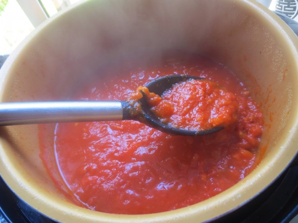 Salsa de tomate especial pasta olla GM